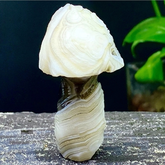 33G Natural Gobi Thousand Eyed Agate Mushroom Shape Natural Gemstone Hand Carved - Picture 2 of 8